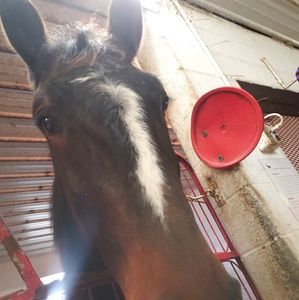 Meet your Posher, Eileen